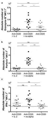 Figure 5. Increase of activated NK cells by anti-CD20 + no-alpha mutein combination therapy. Absolute number of granzyme B+ NK1.1+ (a), perforin+NK1.1+ (b), and IFNγ+NK1.1+ (c) of splenocytes from C57Bl/6 mice analyzed by flow cytometry 14 days after challenge with 2 × 105 EL-4-huCD20 cells and treated with different therapies. Dotted lines represent the mean values obtained with isotype control-treated C57Bl/6 mice for the indicated population. Data correspond to two independent experiments (n = 5–7 per group). Horizontal bars represent the mean ± SD (Kruskal-Wallis, Dunn’s post hoc test, *, P < .05; **, P < .01; ns, not significant).