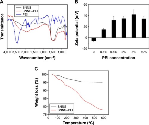 Figure 3 Characterizations of the BNNS and BNNS–PEI complexes.Notes: (A) FTIR spectra of BNNS, PEI, and BNNS–PEI complexes. (B) Zeta potentials of BNNS and a series of BNNS–PEI complexes at different starting concentrations of PEI. (C) Thermal gravimetric analysis of the BNNS and BNNS–PEI complexes.Abbreviations: BNNS, boron nitride nanospheres; FTIR, Fourier transform infrared; PEI, polyethyleneimine.