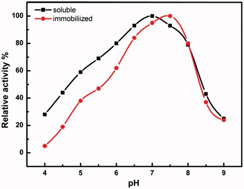 Figure 6. Optimum pH of soluble and immobilized HRP. The enzyme activity was measured at different pH’s ranging from 4.0 to 9.0. Each point represents the average of two experiments.