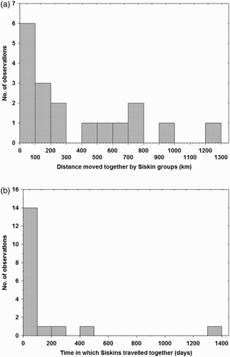 Figure 1. Frequency distribution of (a) the distances moved by Siskin groups and (b) the time for which birds within groups remained together. All the groups, except two, were formed by two individuals ringed together (same locality and day) and again recovered together more than 50 km away from the ringing site. N = 18 groups.