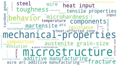 Figure 4. Word cloud visualisation of the keywords involved in the analysis (Web of Science).