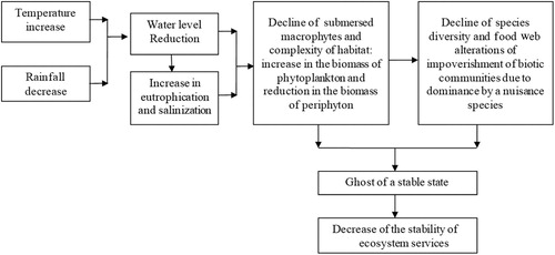 Figure 3. Schematic presentation of changes caused by the extreme water level changes in dry zones.