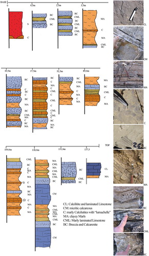 Figure 4. Stratigraphic log of the Conca succession (Marettimo Formation). See text for more detail.