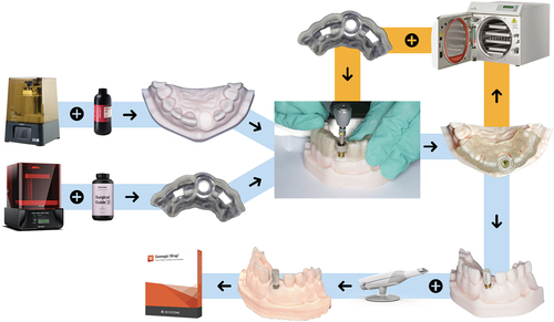 Figure 1. Flowchart of experimental design illustrating 3D printing of typodont models and surgical guides, placement of implants, sterilization of surgical guides, scanning of implant with scan body attached, and 3D analysis of scans. Orange pathway indicates sterilization of the surgical guides prior to reusing them to place a second set of implants.