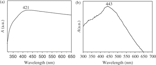 Figure 3. UV-Vis absorption spectra of the Ag (a) and Ag2S (b) nanoparticle chains.