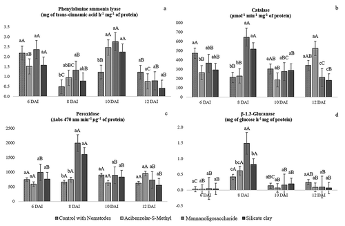 Fig. 2 Enzyme activity in roots of rice (Oryza sativa cv. IRGA424) plants treated with resistance elicitors and inoculated with 1500 eggs and second-stage juveniles of Meloidogyne graminicola at 6, 8, 10 and 12 days after inoculation (DAI). Within each period, means followed by the same lowercase letters do not differ at p < 0.05 by the Student–Newman–Keuls test. Within each treatment, means followed by the same uppercase letters do not differ at P < 0.05 by the Student–Newman–Keuls test