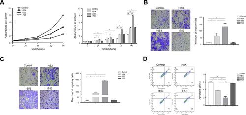 Figure 2 The functional analysis indicated that C1653T mutation enhanced the malignancy of HepG2 cells. (A) CCK-8 assay for Control, HBX, 1653 and 1753 groups. (B) Cell invasion assay for Control, HBX, 1653 and 1753 groups. (C) Cell migration assay for Control, HBX, 1653 and 1753 groups. (D) Flow cytometry assay for Control, HBX, 1653 and 1753 groups. **P<0.01.