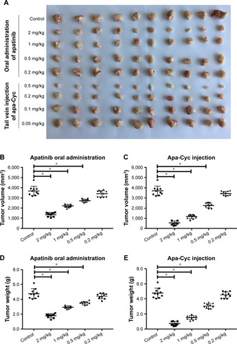 Figure 2 Antitumor effect of apatinib formulations on the subcutaneous growth of MHCC97-H cells.