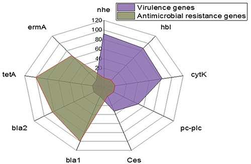 Figure 9 The occurrence of virulence and antibiotic resistance genes in the isolated B. cereus strains.