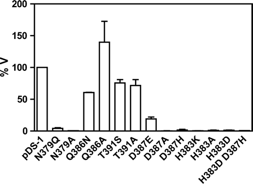 Figure 4.  Relative transport rate of labelled lactate by the Jen1p mutants. The graphic represents the percentage of the initial uptake rate of the mutants considering that the initial uptake rate of the wild-type gene (pDS-1) was 100%.