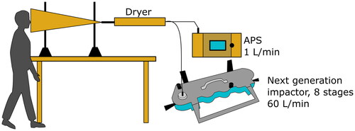Figure 1. Schematic picture of the exhaled aerosol collection setup. The subject was standing with the face in the opening of a funnel for sampling of the exhaled aerosol. The aerosol was first dehumidified by the dryer and then sampled by the next generation impactor (NGI) and the aerodynamical particle sizer (APS).