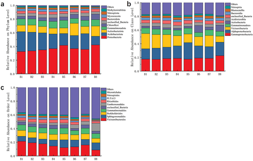 Figure 4. Relative abundance of meadow soil bacterial communities. Phylum level (a); class level (b); order level (c).