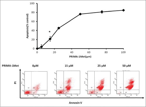 Figure 2. The apoptotic effect of PRIMA-1Met in BCWM-1 (wild type P53). The apoptotic effect of different concentrations of PRIMA-1Met in BCWM-1 was studied using Annexin-V/PI flow cytometry after 48 h incubation; n = 3, error bars show SEM, * P = <0.05