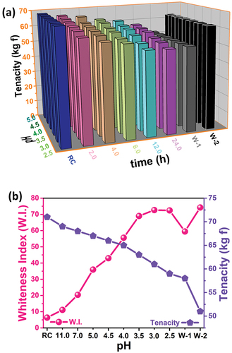 Figure 7. (a) The effect of different pH values and duration on tenacity of cotton fabric, and (b) Whiteness and tenacity values of fabrics bleached at different pH values via HEDP and NaClO2.