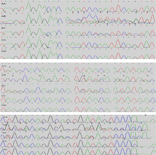 Figure 4.  Waveform sequencing of five goose PRL genotypes. Mutation sites of different genotypes were shown in sequencing waveforms with black arrowheads, the results are consistent with Figure 3.