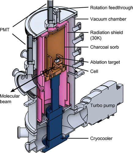 Figure 3. Cut-away section through the centre of the source. The cryocooler head (blue) sits inside a vacuum chamber (grey). An aluminium radiation shield (pink) is attached to the first stage of the cryocooler. The copper inner cylinder (orange), attached to the second stage of the cryocooler, is coated with coconut charcoal and acts a sorb for helium. The buffer gas cell is attached to the second stage.