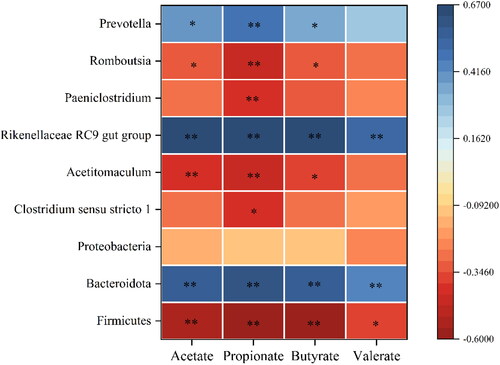 Figure 6. Analysis of the correlation between dominant bacteria and volatile fatty acids (VFAs) in the forestomach, abomasum and small intestine. *indicates significant differences between groups and **indicates highly significant differences.