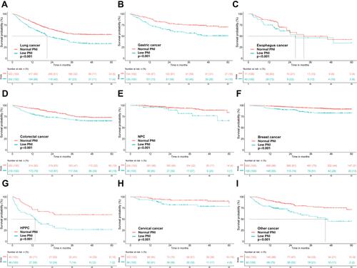 Figure 3 Kaplan-Meier survival analysis for overweight or obese patients with cancer according to PNI levels stratified by tumor type. (A) OS of lung cancer; (B) OS of gastric cancer; (C) OS of esophagus cancer; (D) OS of colorectal cancer; (E) OS of nasopharyngeal carcinoma (NPC); (F) OS of breast cancer; (G) OS of hepatobiliary and pancreatic cancer (HPPC); (H) OS of cervical cancer; (I) OS of other cancer.