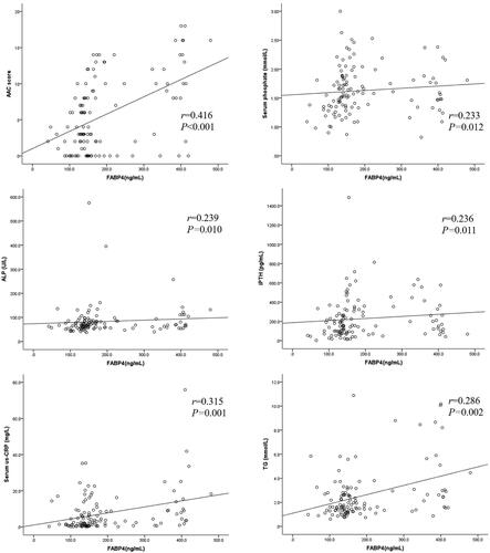 Figure 1. Correlations between serum FABP4, AAC score, and other clinical parameters.