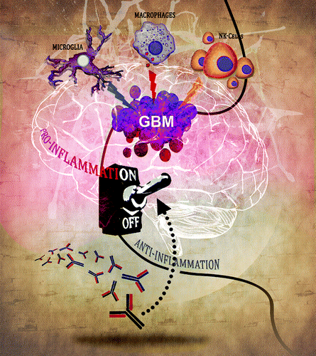 Figure 3. Cover of OncoImmunology Volume 3, Issue 1 (January 2014).