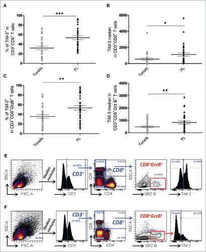 Figure 1. TIM-3 is highly expressed in both CD8+ and CD8+GrzB+tumor-infiltrating T cells in FL lymph nodes. Percentage of CD3+CD8+TIM-3+ T cells (A) and TIM-3 median fluorescence intensity (B) in CD3+CD8+ T cells from FL nodes (n = 33) and tonsils (n = 29). Percentage of CD3+CD8+GrzB+TIM-3+ T cells (C) and TIM-3 median fluorescence intensity in TIM-3+ CTL cells (D) in FL nodes and tonsils. Example of the gating strategy used and representative histogram of TIM-3 expression in CD8+GrzB+ in FL lymph nodes (E) and in tonsils (F). Unpaired Student's t-test using the GraphPad Prism software (version 6; GraphPad) was used to determine the statistical significance of differences between the groups. p = 0.0002 (A); p = 0.0164 (B); p = 0.0015 (C); p = 0.0078 (D).