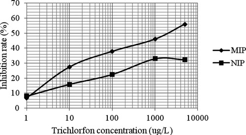 Figure 5. The standard curves of trichlorfon using MIP and NIP as the biomimetic antibody.