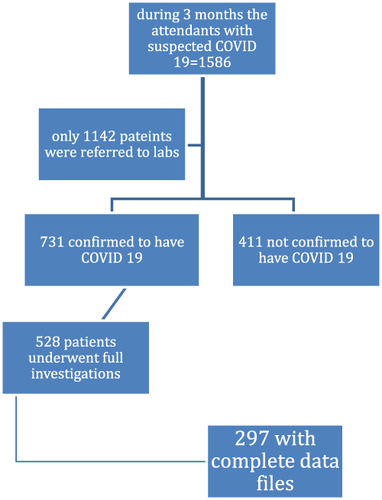 Figure 1 Flowchart showing the patients’ inclusion in the study.