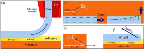 Figure 3. (a) Schematic illustration of the wire-adhesive-substrate sandwich structure along the moving path, where the adhesive interlayer contains weak and strong adhesion regions. (b) Schematic diagram of the top view for the obtuse corners (90° ∼ 180°), where the + x principal moving direction undergoes larger reaction force (namely, the debonding resistance force) compared to the y-axis moving direction. (c) Considerable peeling stress state in the acute corners (<90°) under the -x, y movement components, leading to the debonding of the weak adhesion region near the needle tip more easily.