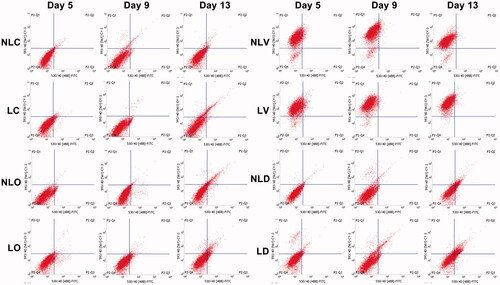 Figure 6. The expression of osteocalcin and vWF in BMSCs was detected by flow cytometry. The upper left quadrant indicates the number of cells positively expressed vWF. The upper right quadrant indicates the number of positive cells simultaneously expressed vWF and osteocalcinexpressed vWF and osteocalcin. The lower left quadrant indicates the number of cells expressed neither vWF nor osteocalcin, and the lower right quadrant indicates the number of positive cells expressed osteocalcin.