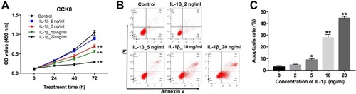 Figure 1 IL-1β induced apoptosis in CHON-001 cells. (A) CHON-001 cells were treated with different concentrations (0, 2, 5, 10 or 20 ng/mL) of IL-1β for 0, 24, 48 and 72 hrs. Cell viability was determined using CCK-8 assay in CHON-001 cells. (B, C) CHON-001 cells were treated with different concentrations (0, 2, 5, 10 or 20 ng/mL) of IL-1β for 72 hrs. Apoptotic cells were detected with Annexin V and PI double staining. *P < 0.05, **P < 0.01 compared with control group.