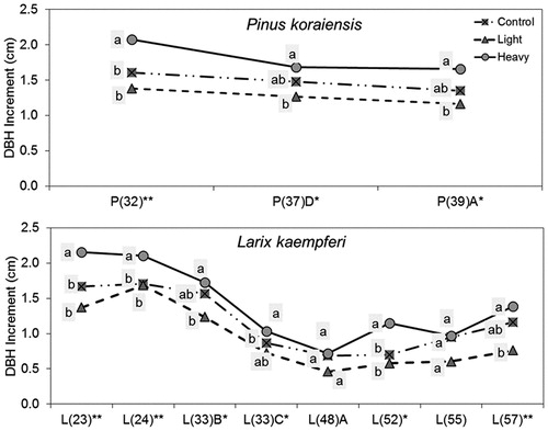 Figure 3. DBH increment by thinning intensity for 3 years showing that the increment is greater in control plots than the light thinning plots by species; P and L on the x-axis stand for Pinus densiflora and Larix kaempferi respectively and the number in parenthesis followed by P or K means tree age.