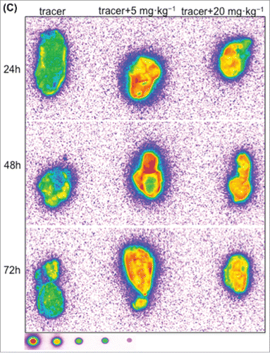 Figure 6. (Continued).