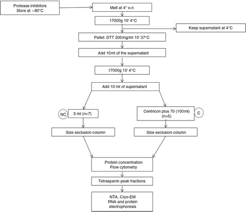 Fig. 1.  Diagram of the isolation procedure and the initial analysis of the fractions.