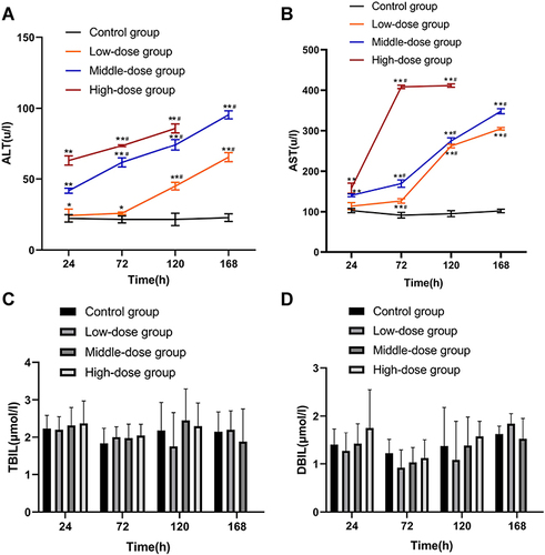 Figure 2 Effect of sodium cyclamate on serum levels of liver enzymes and bilirubin of mice. The serum levels of ALT (A), AST (B), TBIL (C) and DBIL (D) were measured sodium cyclamate-treated at 24h, 72h, 120h and 168h. Values are the mean±standard deviation. *P < 0.05 vs parallel control group; **P < 0.01 vs parallel control group; #p < 0.01 vs 24h in this group. ALT, alanine aminotransferase; AST, aspartate aminotransferase; TBIL, total bilirubin; DBIL, direct bilirubin.