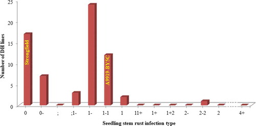 Fig. 3 Frequency distribution of seedling stem rust infection types (ITs) to Puccinia graminis f. sp. tritici race TTKSK in the biological containment facility at Morden, Manitoba, in March, 2010 for the doubled haploid population of the cross A9919-BY5C × Strongfield. The IT of TTKSK for A9919-BY5C and Strongfield are shown on the graph. The X-axis is the Stakman seedling infection type scale (0–4) where no IT ratings between 2 and 4+ occurred and is represented by dashes