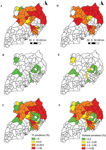 Figure 2. Prevalence of trachomatous inflammation—follicular (TF) in children aged 1–9 years, and any trichiasis in people aged ≥15 years, Uganda, 2006–2018.A) TF prevalence in districts mapped in 2006–2012; B) TF prevalence in districts mapped in 2014 or 2018; C) TF prevalence combining all data sources from 2006–2018D) Trichiasis prevalence in districts mapped in 2006–2012; E) Trichiasis prevalence in districts mapped in 2014 or 2018; F) Trichiasis prevalence combining all data sources from 2006–2018