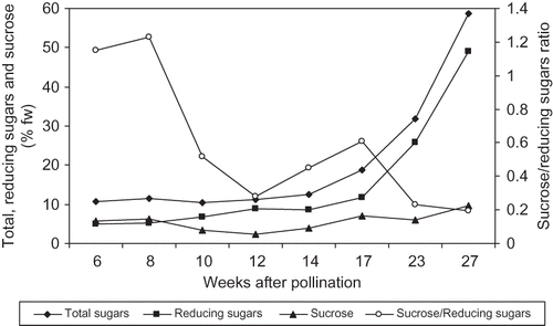 FIGURE 4 Changes in total and reducing sugars and sucrose concentration and sucrose/reducing sugars ratio of ‘Helali’ date palm fruit during development and ripening. Data are the means of the 2009 and 2010 seasons. LSD at 5% for time effect is 0.066, 0.170, 0.165, and 0.026 for total and reducing sugars and sucrose concentration and sucrose/reducing sugars ratio, respectively.