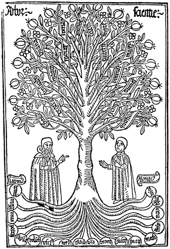 Fig. 5. Ramon Llull’s Arbor Scientiae, from his work Ars Magna, from 1295. There is a clear influence of Aristotle, Porphyry’s Isagogue, and Boethius’s work.