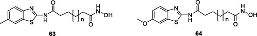 Figure 39. Hydroxamic acid containing methyl/methoxy benzothiazole scaffolds 63 and 64.