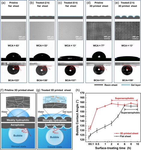 Figure 4. Mechanism of the surface wettability change before and after the post-surface-treatment. Diagrams, optical microscope photos, WCA images, and BCA images of (a) the pristine flat sheet, (b) the treated flat sheet (alkali-treating time: 2 h), (c) the treated flat sheet (alkali-treating time: 6 h), (d) the pristine 3D printed sheet, and (e) the treated 3D printed sheet (alkali-treating time: 2 h). Schematic diagram of the change in chemical composition and microstructure of the pristine (f) and (g) treated 3D printed sheets. (h) Influence of alkali-treating time on BCAs for flat sheets and 3D printed sheets.