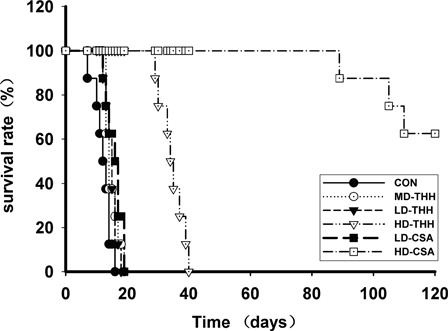 Figure 1. Survival times of the mice in different drugs and drug concentrations treatment groups after bone marrow transplantation. For the selection of the doses of THH and CsA, the BALB/c recipient mice were randomly divided into six groups with 10 animals in each group. Before transplantation, TBI was performed on the recipient mice. Four hours after irradiation, the cell mixture suspension containing 2 × 107 bone marrow cells and 2 × 107 spleen lymphocytes was infused through the tail veins. The drugs were intragastrically administered to recipient mice in each group at 0.2 ml/day at 1–30 days after transplantation (+30 days); the control group received 0.2 ml/day saline. The THH high-, medium-, and low-dose groups were given 400, 200, and 100 mg/(kg/day) THH, respectively, and the CsA high- and low-dose groups were given 10 and 5 mg/(kg/day) CsA, respectively. The median survival times of the CON, MD-THH, LD-THH, and LD-CSA groups were 12.5, 14, 15, and 16.5 days, respectively. The comparison between any two groups of the CON, MD-THH, LD-THH, and LD-CSA did not show statistical significance. The median survival time of the HD-THH group was 34.5 days, which was significantly different from that of the CON, MD-THH, LD-THH, and LD-CSA groups. The median survival time of the HD-CSA group was 122.5 days, which was significantly different from that of the CON, MD-THH, LD-THH, LD-CSA, and HD-THH groups.