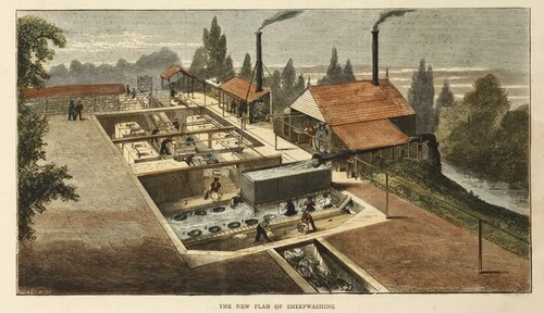 Figure 5. Washing facilities at the Collaroy sheep station in New South Wales, showing the adjacent river which supplied water for boilers and wash pools, and clean sheep were shorn and the wool packed into bales before shipping, from Cutts & Harrison, Scenes at an Australian Sheep Station, Collaroy, New South Wales, c.1870