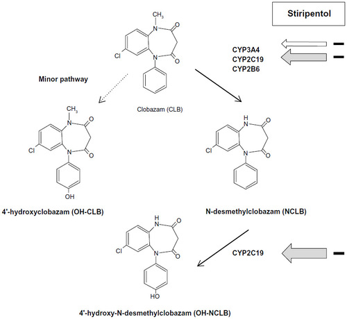 Figure 2 Metabolic interactions between CLB and stiripentol by the CYP (cytochrome P450) complex.