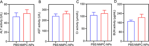 Figure 7 In vivo safety. (A-D) The hematological assessment of mice at day 2 after i.v. injection of PBS or NMPC-NPs (12.5 mg PTX/kg) (n = 3).