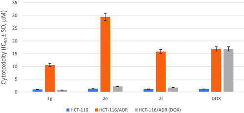 Figure 4. Cytotoxicity (µM) of compounds 1 g, 2e, and 2 l on human HCT-116, HCT-116/ADR (without DOX), and HCT-116/ADR (with DOX) cells.