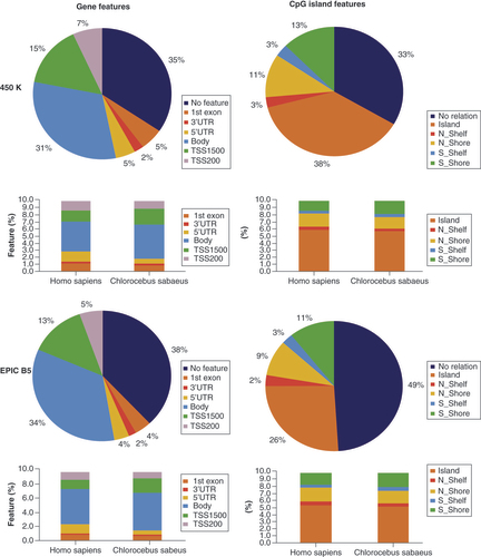 Figure 6. Piecharts represent the distribution of human-designed Chlorocebus sabaeus-valid CpG probes on the Infinium 450K and EPIC BeadChips, as annotated for the Chlorocebus sabaeus genome (Ensembl ChlSab1.1 version 101). We defined 162,053 Chlorocebus sabaeus-valid probes for Infinium 450K and 255,227 for Infinium EPIC, representing 171,608 and 267,827 gene feature annotations in total for Infinium 450K and Infinium EPIC, respectively. Note that one probe can be attributed to different transcripts and thus gene features, whereas one probe is attributed to only one island feature. The stacked barplots show the gene feature and CpG island annotation in comparison to the same probes annotated to the human arrays, as given in the BeadChip manifest files.