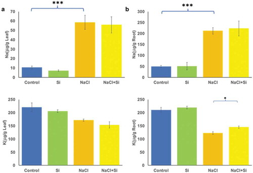 Figure 3. Changes in Na+ and K+ concentrations in response to salt stress and silicon treatments in leaves (a) and roots (b). The values represent the means (n = 9 ± SE) and significant differences at p < .05, and p < .001 are marked by asterisks as (*), and (***), respectively.