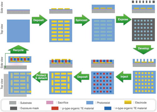 Figure 3. Schematic fabrication process of the organic π-type TE module based on well-established techniques.