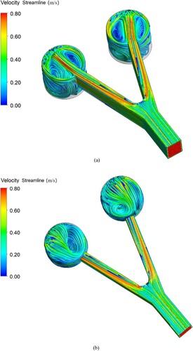 Figure 5. Three-dimensional distribution of the flow field in the circular forebay: (a) top view; (b) bottom view.