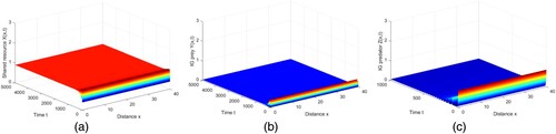 Figure 11. Model (Equation7(7) {∂X(x,t)∂t=d11ΔX+rX−aX2−d1X−α1(1−m1)XY−α2(1−m2)XZ1+b(1−m2)X,x∈Ω,t>0,∂Y(x,t)∂t=d22ΔY+β1(1−m1)XY−(α3+cZ)YZ−d2Y,x∈Ω,t>0,∂Z(x,t)∂t=d33ΔZ+β2(1−m2)XZ1+b(1−m2)X+β3(α3+cZ)YZ−d3Z,x∈Ω,t>0,∂X(x,t)∂ν=∂Y(x,t)∂ν=∂Z(x,t)∂ν=0,x∈∂Ω,t>0,X(x,0)=X0(x)≥0,Y(x,0)=Y0(x)≥0,Z(x,0)=Z0(x)≥0,x∈Ω,(7) ) is local asymptotically stable when d11=1, d22=0.05, d33=0.01 and m1=0.8∈(m^1,1): (a) shared resource, (b)IG prey, (c) IG predator. (a) X(t), (b) Y(t) and (c) Z(t).